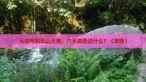 德州到四川乐山大佛六日游