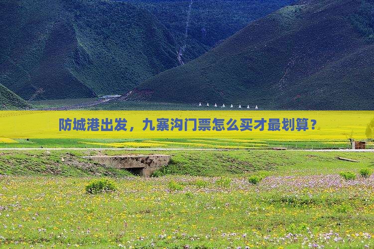 防城港去四川九寨沟门票