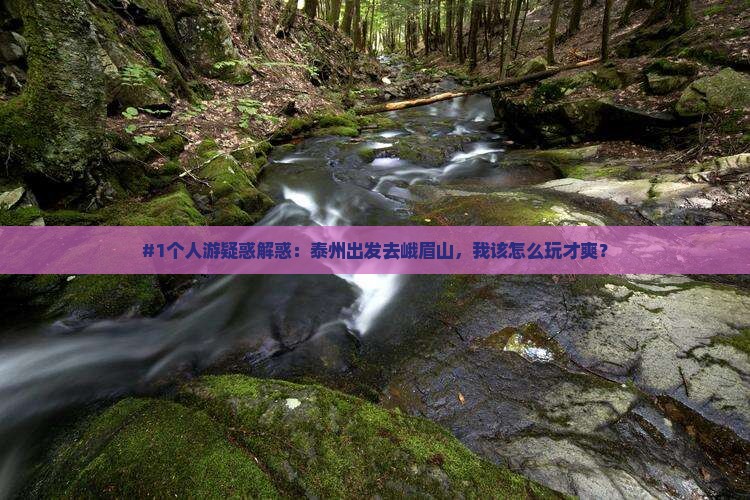 泰州去四川峨眉山个人游 泰州去四川峨眉山个人游