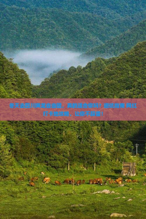 冬天去四川黄龙自由团