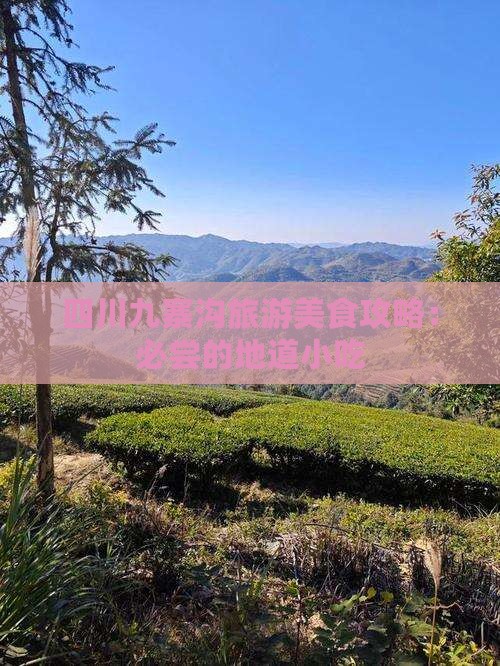 兰州去四川九寨沟旅游小吃