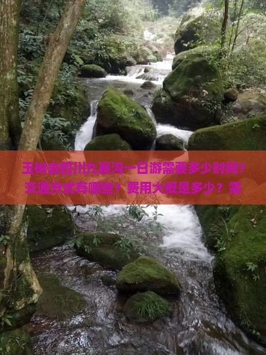 玉树去四川九寨沟一日