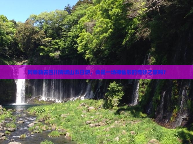 阿泰勒去四川青城山五日游