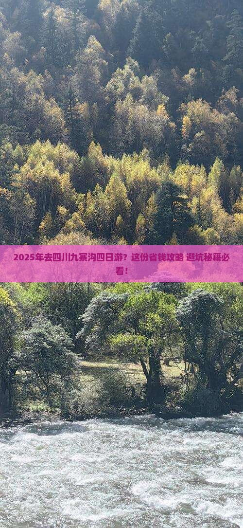 二月到四川九寨沟四日游