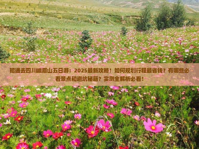 昭通去四川峨眉山五日游