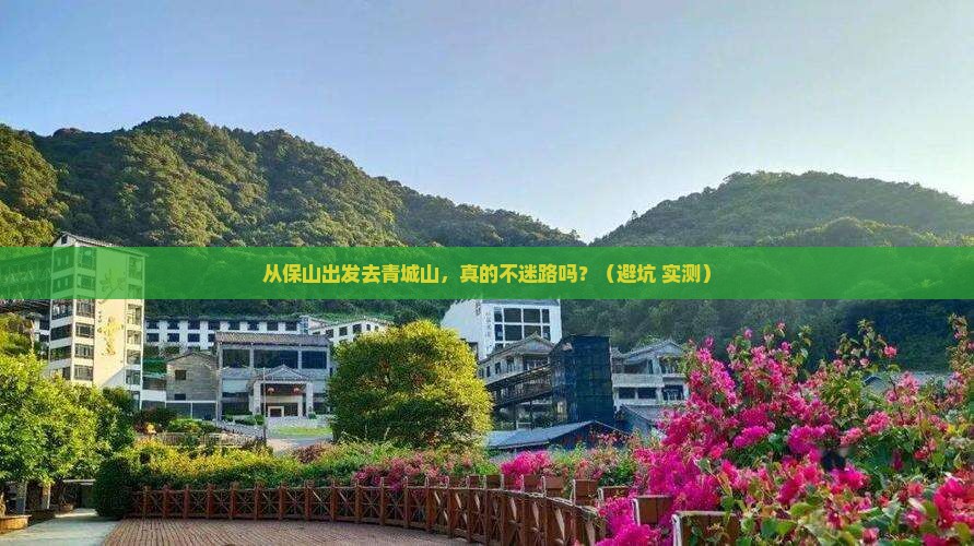 保山去四川青城山景点