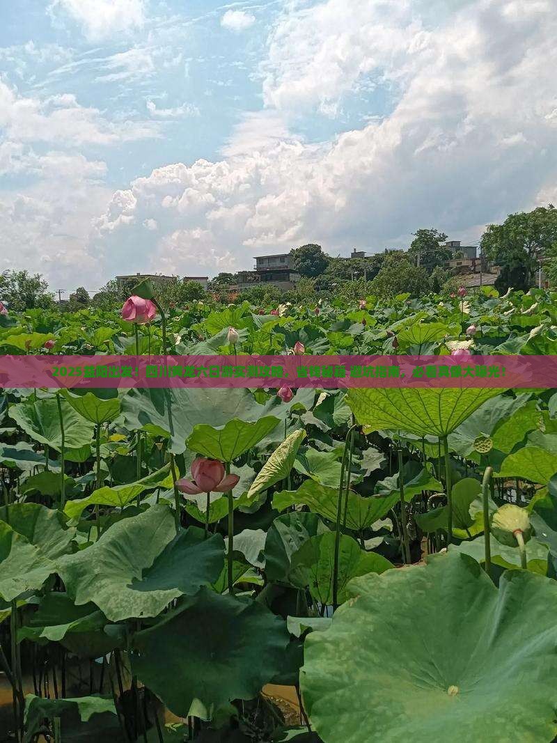 益阳去四川黄龙六日游