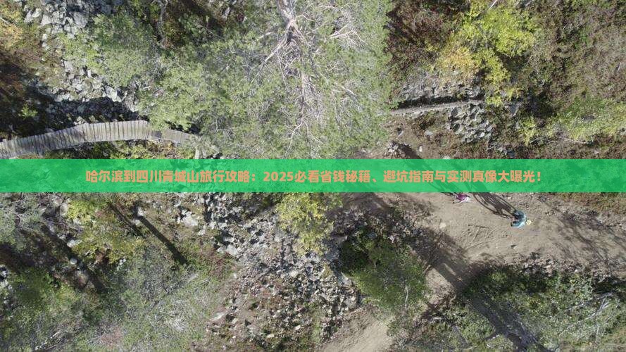 哈尔滨到四川青城山旅行社