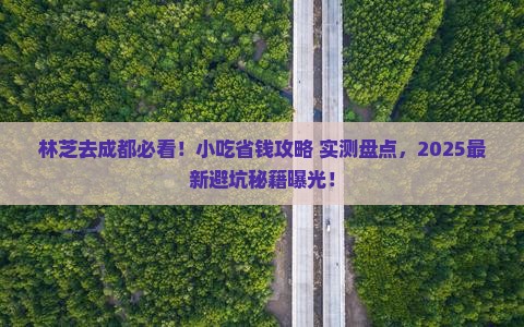 林芝去四川成都旅游小吃