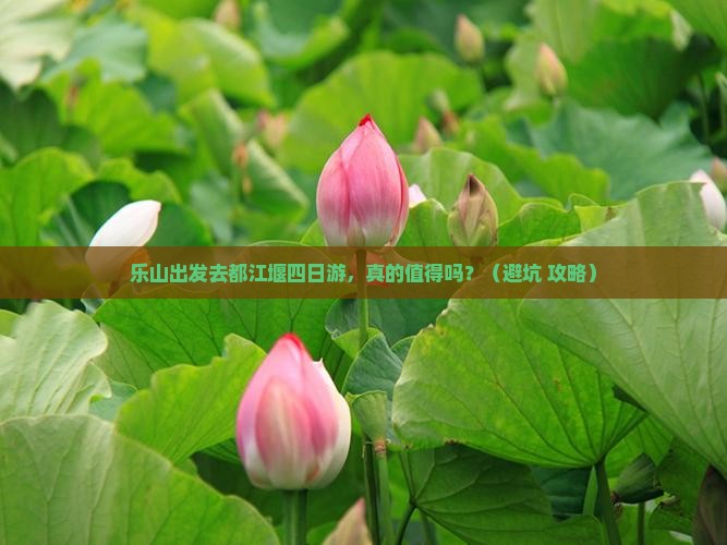 乐山去四川都江堰四日游