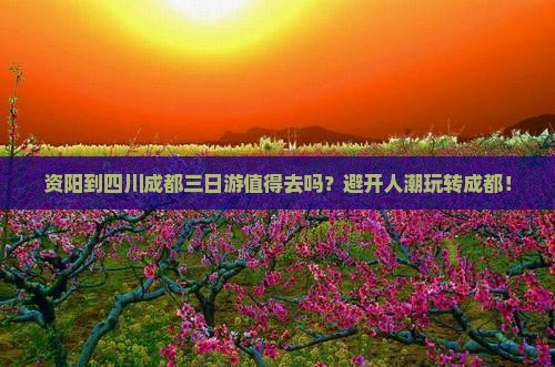 资阳到四川成都三日游