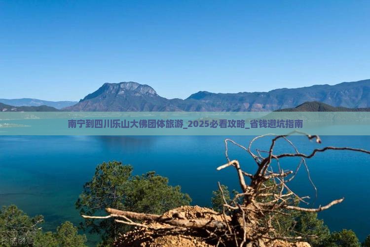 南宁到四川乐山大佛团体旅游