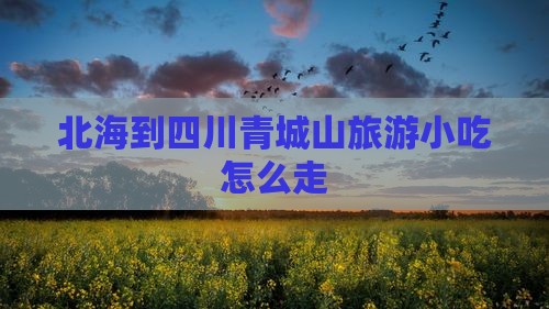 北海到四川青城山旅游小吃