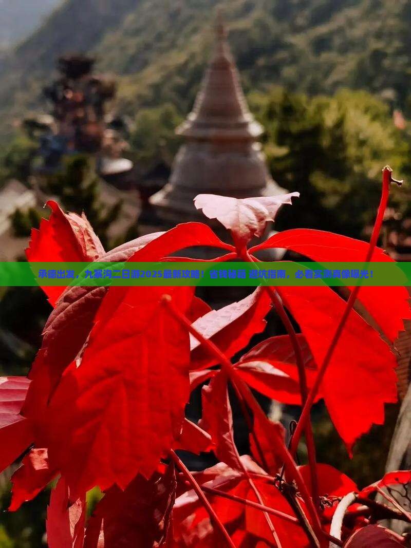 承德去四川九寨沟二日游