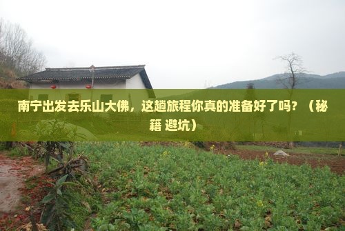 南宁去四川乐山大佛旅行社