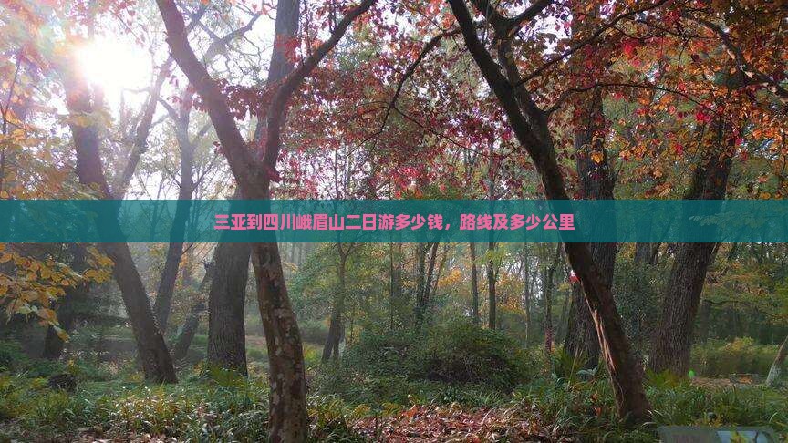三亚到四川峨眉山二日游
