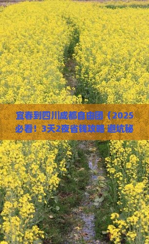 宜春到四川成都自由团