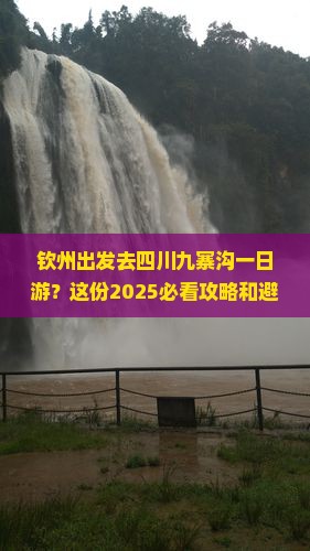 钦州去四川九寨沟一日
