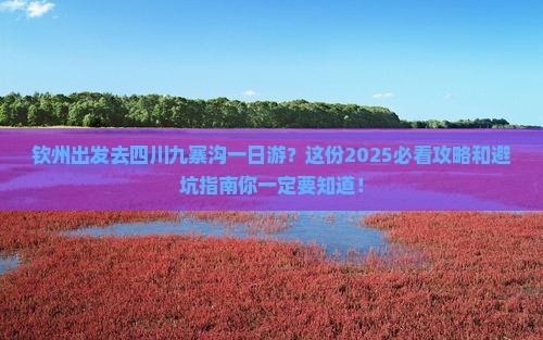 钦州去四川九寨沟一日