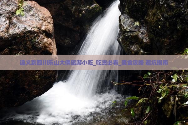 遵义到四川乐山大佛旅游小吃