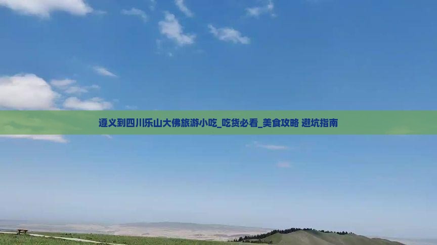 遵义到四川乐山大佛旅游小吃