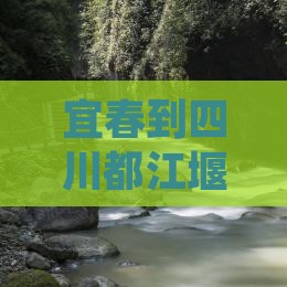 宜春到四川都江堰旅行社
