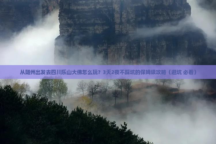 随州去四川乐山大佛攻略