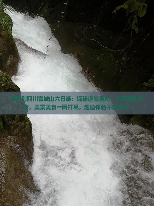 龙岩到四川青城山六日游