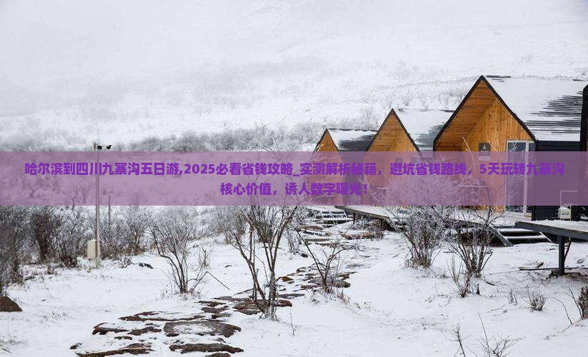 哈尔滨到四川九寨沟五日游