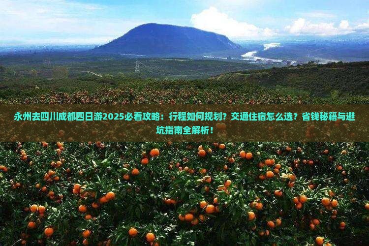 永州去四川成都四日游