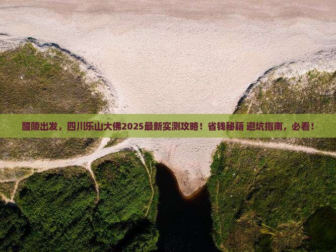 醴陵去四川乐山大佛攻略