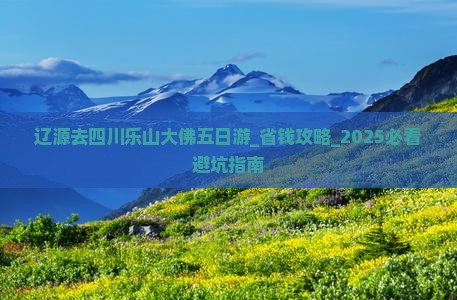 辽源去四川乐山大佛五日游