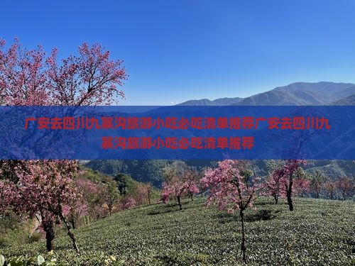 广安去四川九寨沟旅游小吃