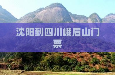 沈阳去四川峨眉山门票