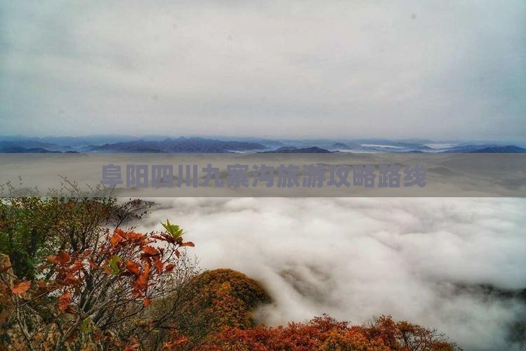 阜阳到四川九寨沟门票