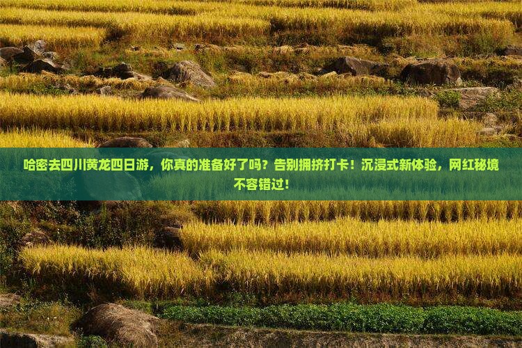 哈密去四川黄龙四日游