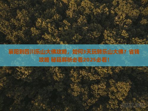 襄阳到四川乐山大佛攻略