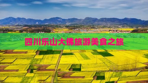 北海到四川乐山大佛旅游小吃