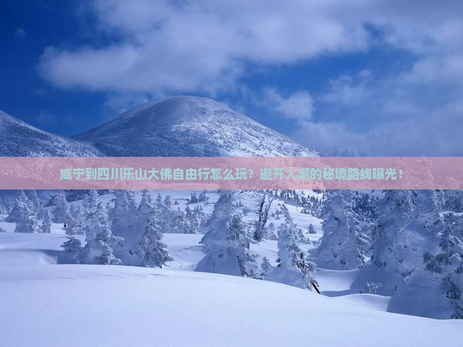 咸宁到四川乐山大佛自由行