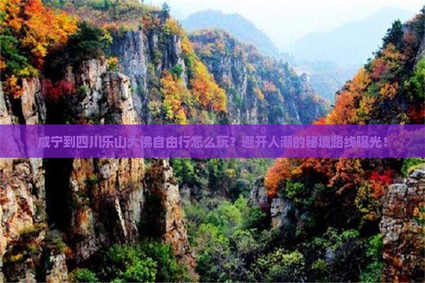 咸宁到四川乐山大佛自由行