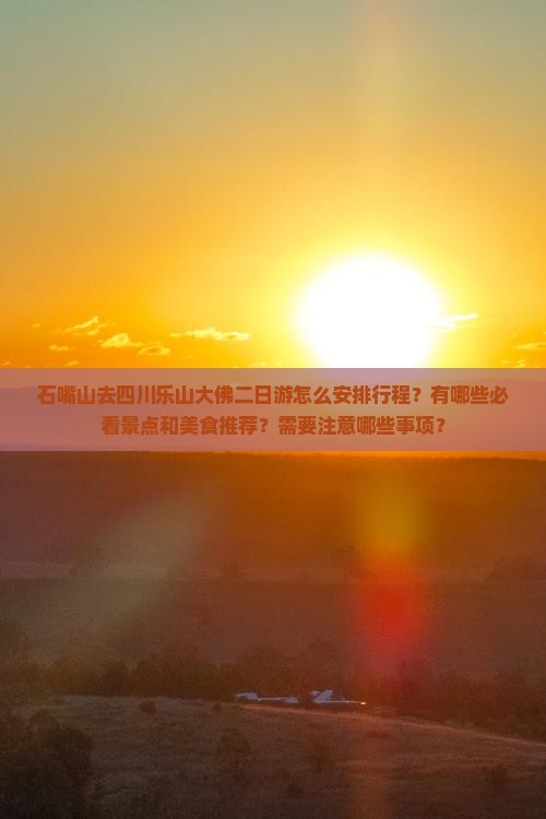 石嘴山去四川乐山大佛二日游