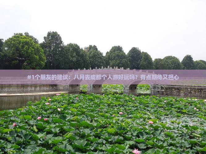 八月到四川成都个人游