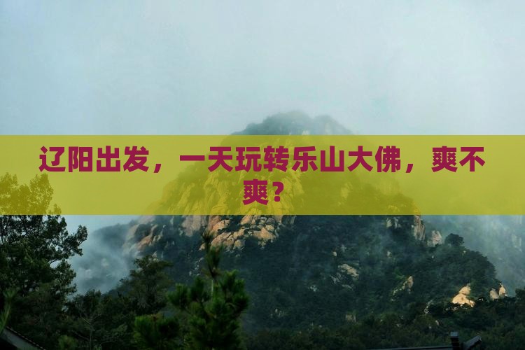 辽阳去四川乐山大佛一日