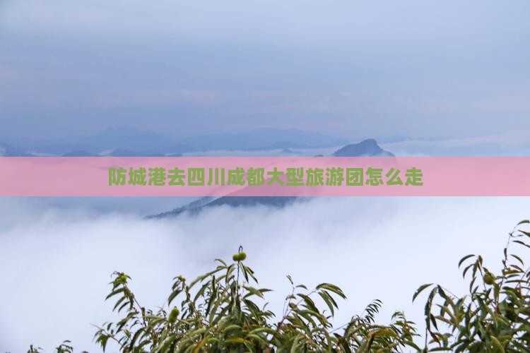 防城港去四川成都大型旅游团