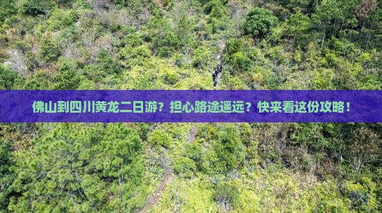 佛山到四川黄龙二日游