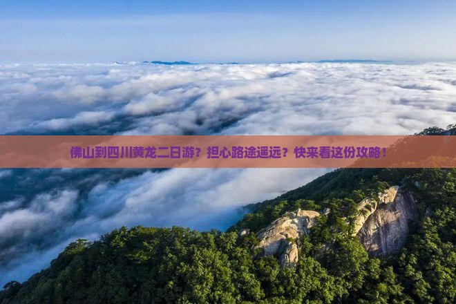 佛山到四川黄龙二日游