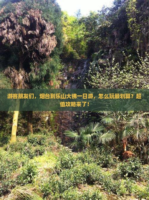 烟台到四川乐山大佛一日