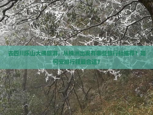 株洲到四川乐山大佛旅行社