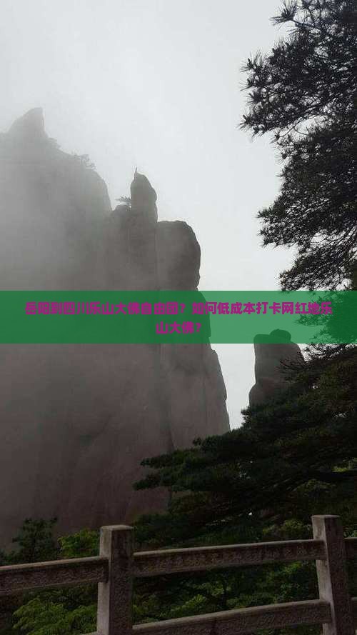 岳阳到四川乐山大佛自由团