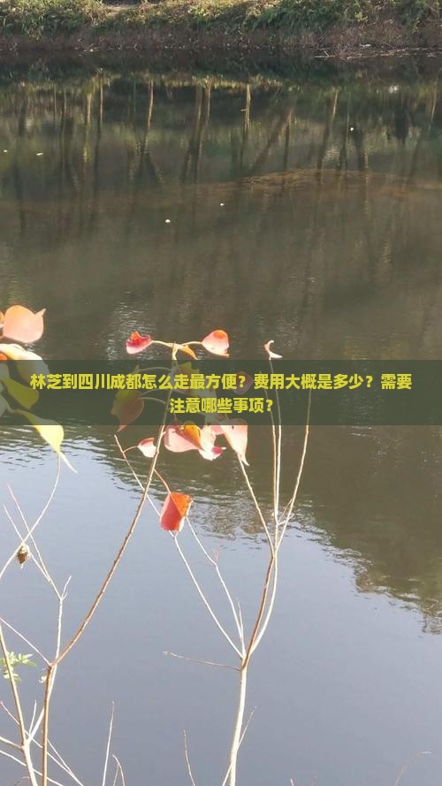 林芝到四川成都攻略